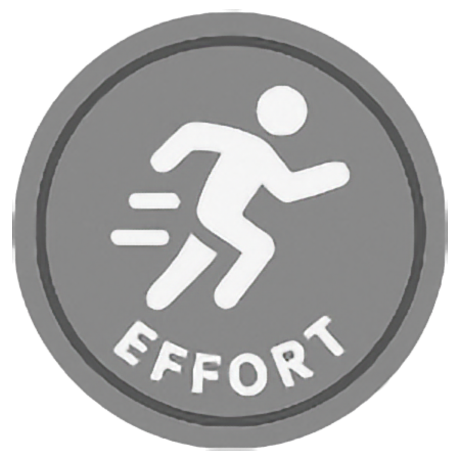 Effort Badge Effort Badge